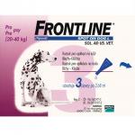 frontline